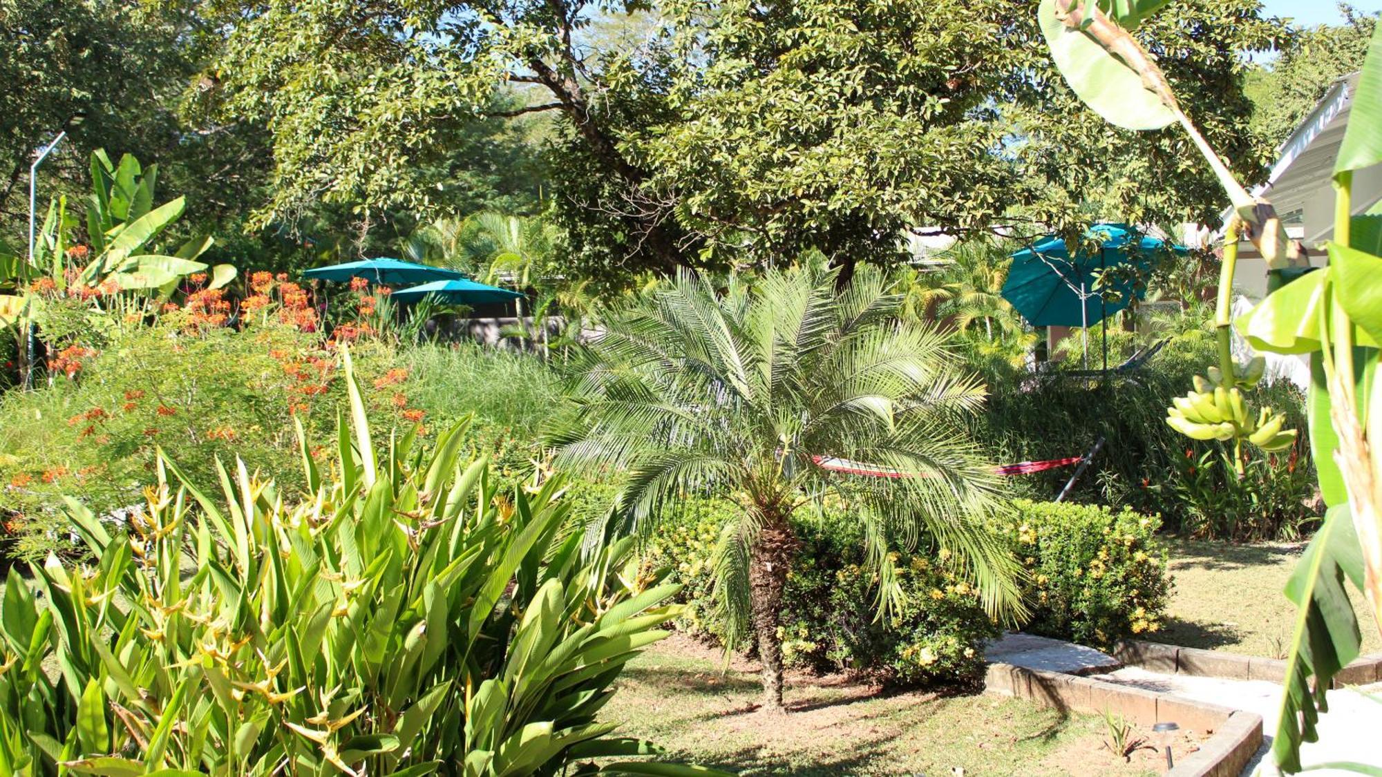 Tee-K Lodge Tamarindo Exterior foto