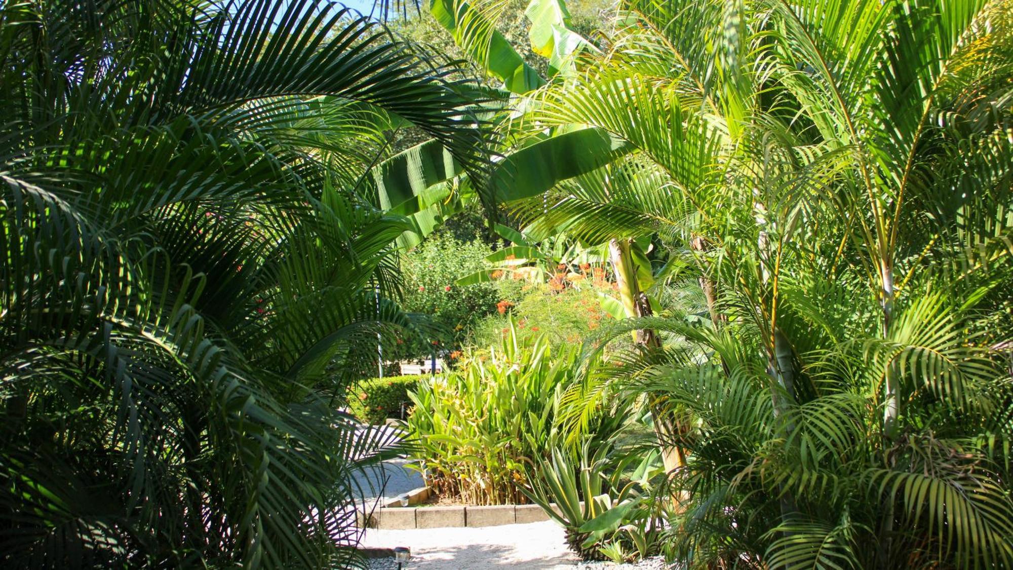 Tee-K Lodge Tamarindo Exterior foto